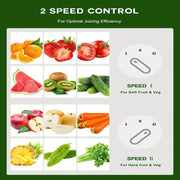 multi function juicer processor 3
