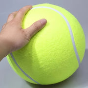 needle giant pet tennis ball
