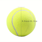 needle giant pet tennis ball