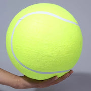 needle giant pet tennis ball