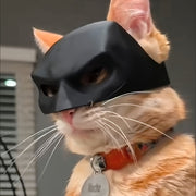 prank funny white styling pet cat photo mask