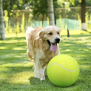 needle giant pet tennis ball