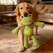 pet tear resistant interactive dental toy